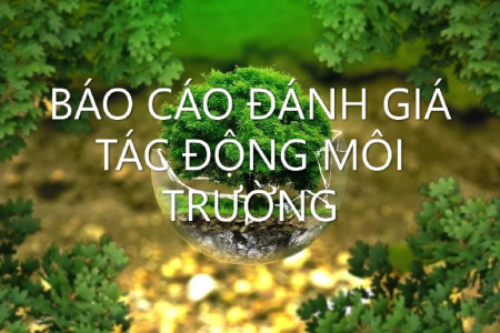 BÁO CÁO ĐÁNH GIÁ TÁC ĐỘNG MÔI TRƯỜNG